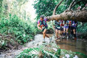 BIB: 
                            <button type="button" onclick="openModal(25470733)" class="btn btn-primary btn-sm float-right btn-popup" data-toggle="modal" data-target=".modal-high-quality">
                        <i class="fas fa-shopping-cart"></i> Add to Cart
                    </button>
                                            <button type="button" onclick="isThisMe(25470733, true)" class="btn btn-success btn-sm float-right btn-popup btn-isme hidden" data-toggle="tooltip" data-placement="bottom" title="นี่คือรูปของคุณใช่ไหม คลิกที่นี่เพื่อเอาเข้าอัลบั้ม">
                        <i class="fas fa-plus"></i> Add to album
                    </button>
                    <button type="button" onclick="isThisMe(25470733, false)" class="btn btn-warning btn-sm float-right btn-popup btn-isnotme hidden">
                        <i class="fas fa-ban"></i> Remove from album
                    </button>